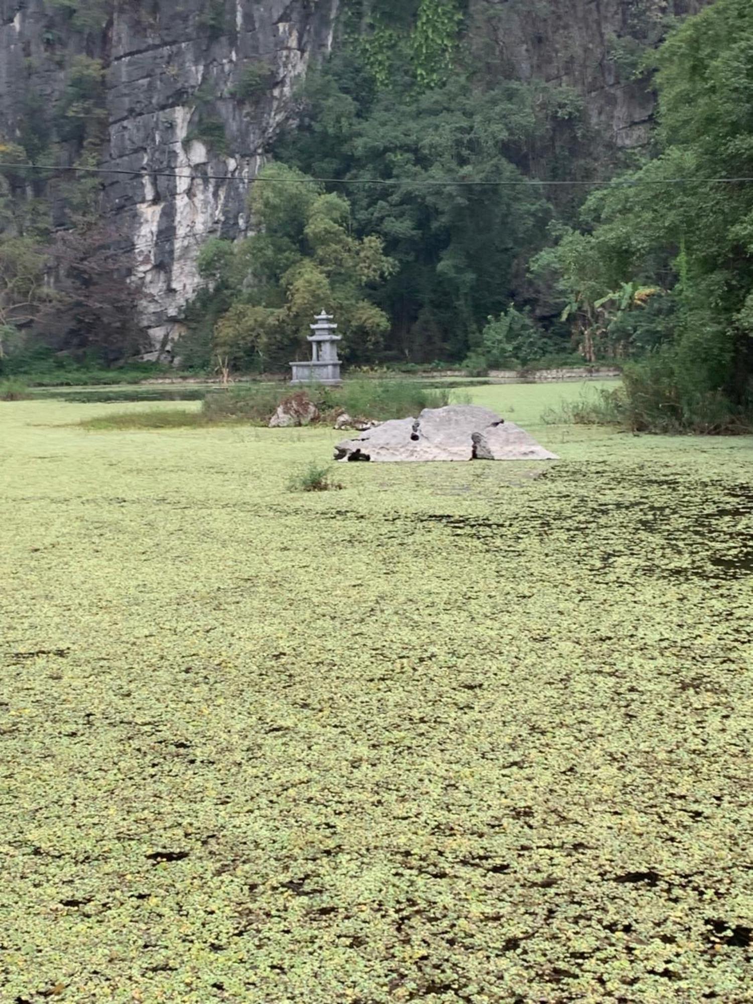 Tam Coc Lotus Flower Homestay Ninh Binh Exterior photo